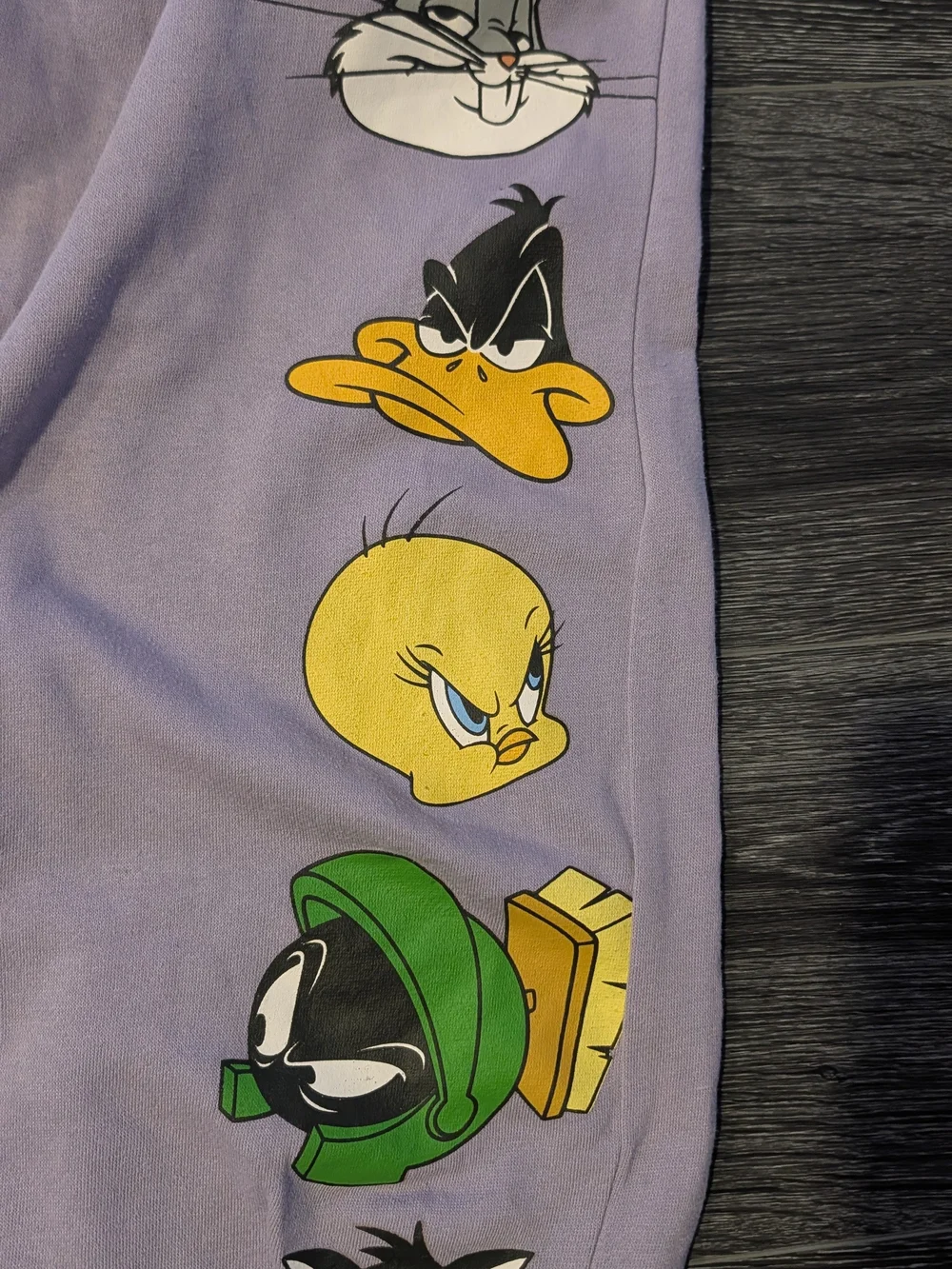 Warner Bros. Lavender Womens Joggers with Looney Tunes Character Row